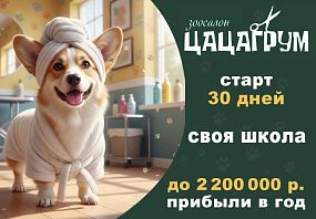 Франшиза ЦАЦАГРУМ