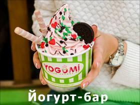 Франшиза YOGUMI