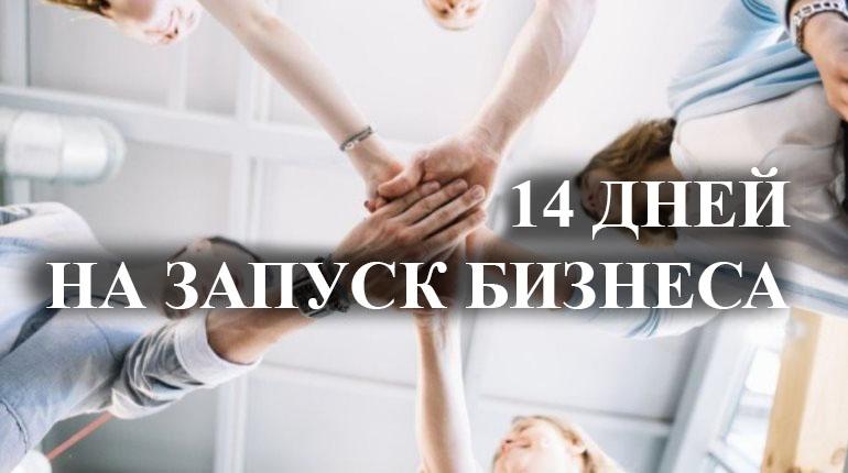 Франшиза ГосТендер 3