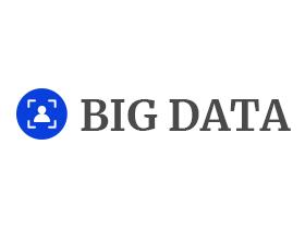 Франшиза BIG DATA