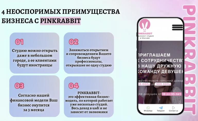 Франшиза PinkRabbit 1