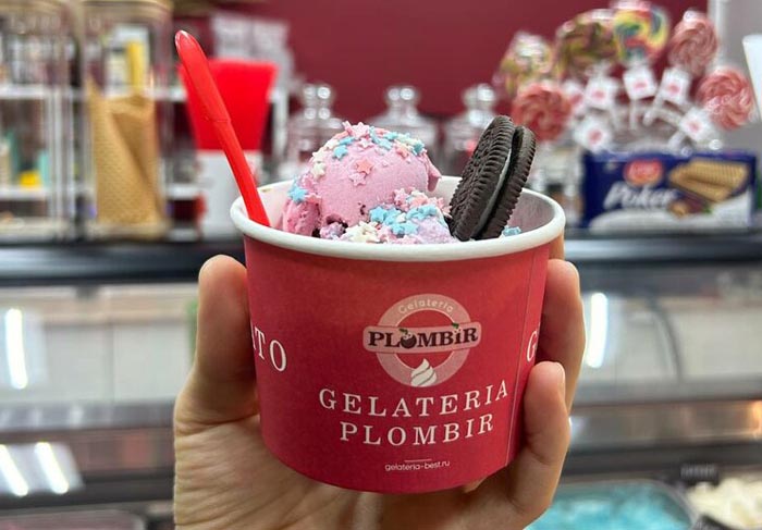 Франшиза Gelateria Plombir