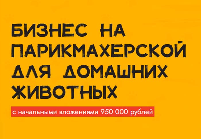 Франшиза Лайки