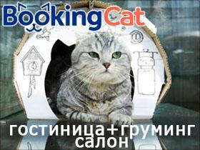 Франшиза BookingCat