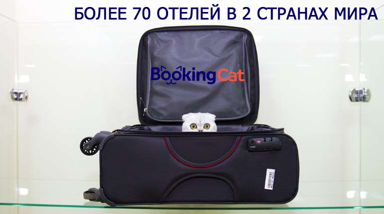 Франшиза BookingCat 1