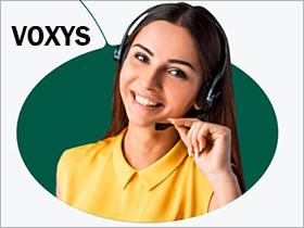 Франшиза VOXYS