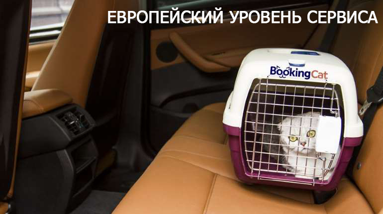 Франшиза BookingCat 2