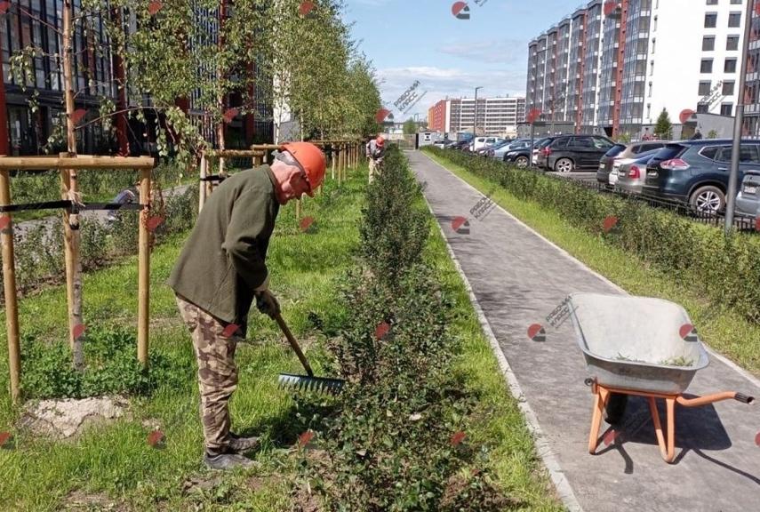 франшиза по предоставлению рабочего персонала Рабочий класс интервью Густокашин Сергей фото 3