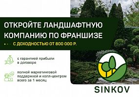 Франшиза SINKOV