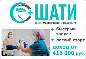 Франшиза Шати