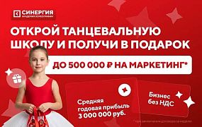 Франшиза Синергия